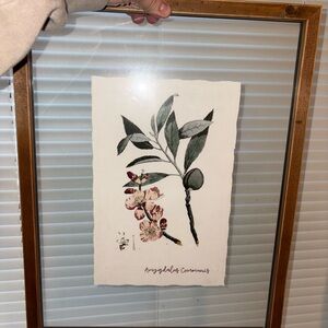 Botanical Print with Wooden Frame